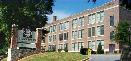 Bass Lofts new construction (photo)